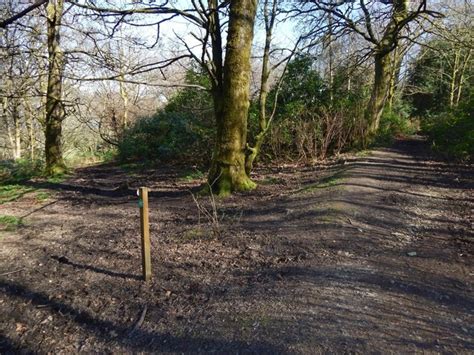 Path Junction In Big Wood Lairich Rig Cc By Sa 2 0 Geograph