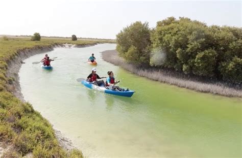 Exploring Nature In Qatar At The Al Thakira Mangroves