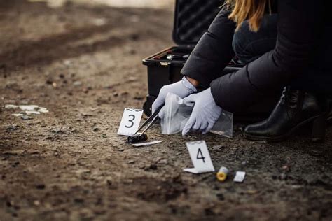 7 Different Types Of Jobs In Forensics Elawtalk