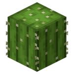 how to place cactus minecraft