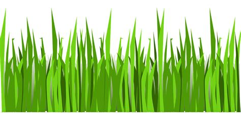 Download Grass, Lawn, Nature. Royalty-Free Vector Graphic - Pixabay