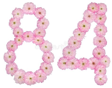 Numeral Ochenta Y Cuatro De Flores Rosadas Naturales De Almendro