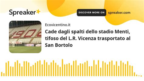 Cade Dagli Spalti Dello Stadio Menti Tifoso Del L R Vicenza