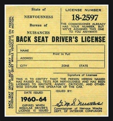 Back Seat Drivers License My99post Funniest Fail Pics