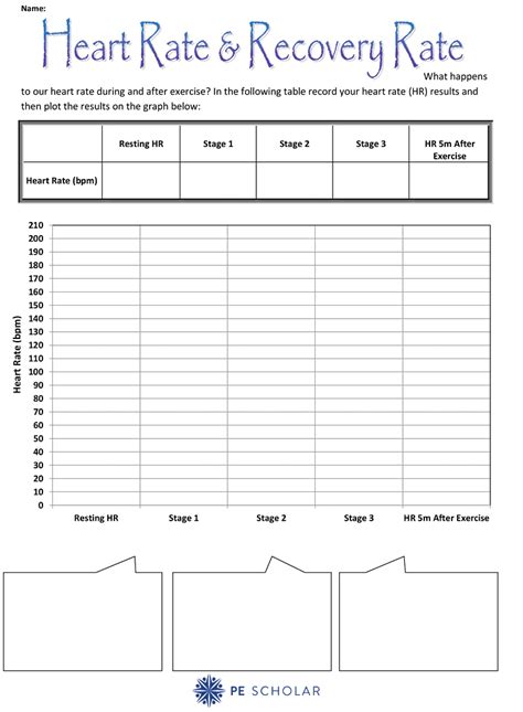 Access The Heart Rate Resource For Free Today Pe Scholar