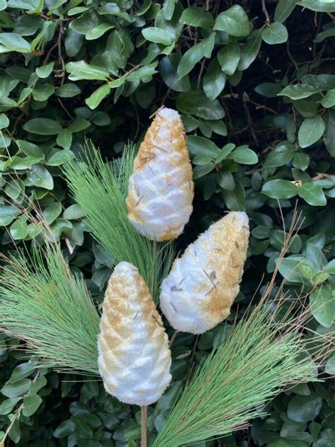 Pinecone Stem Kelea S Florals