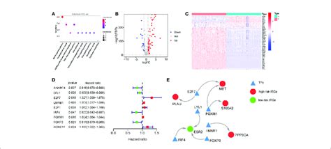 Regulatory Network Of Survival Associated Immune Related Genes