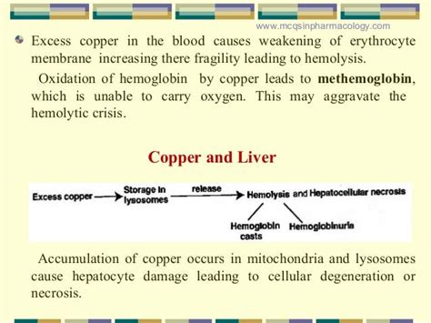 Copper Poisoningtoxicity