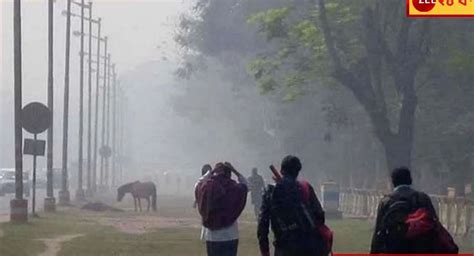 Bengal Weather Update লাফিয়ে বাড়ছে দিন ও রাতের তাপমাত্রা বাংলা থেকে উধাও শীতের আমেজ Baarta