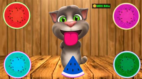 Talking Tom Funny Cat Colourful Watermelon Funny Video Talking Tom