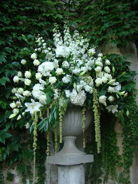 Garden aesthetic garden design gardening aesthetic gardener aesthetic