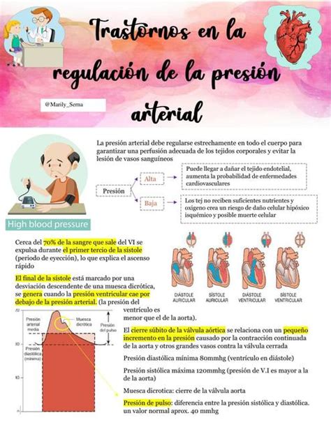 Trastornos En La Regulación De La Presión Arterial Medicina Fisiopatología Udocz