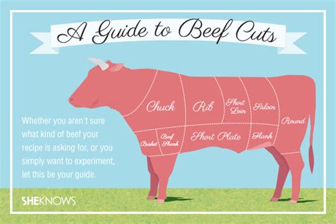 A guide to beef cuts – SheKnows