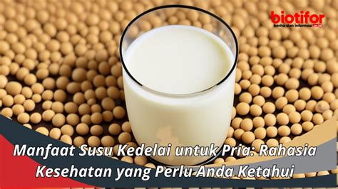 Manfaat Susu Kedelai Untuk Pria Rahasia Kesehatan Yang Perlu Anda Ketahui