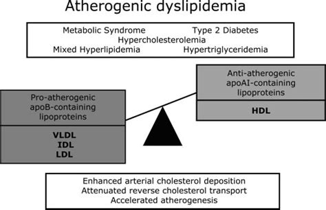 Atherogenic Dyslipidemia As An Imbalance Between Circulating Levels Of