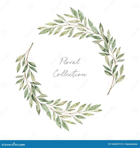 Watercolor Illustrations Botanical Clipart Wreath Of Green Leaves And