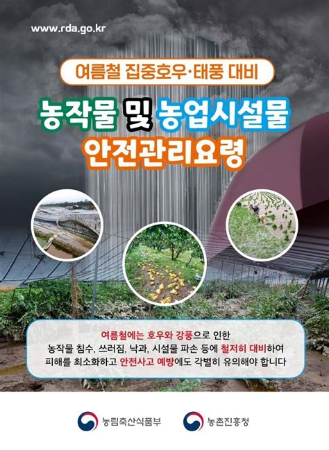 여름철 집중호우·태풍 대비 농작물 및 농업시설물 안전관리요령 경기도 양평군 웰로