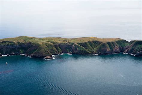 Royalty Free Anacapa Island Pictures, Images and Stock Photos - iStock