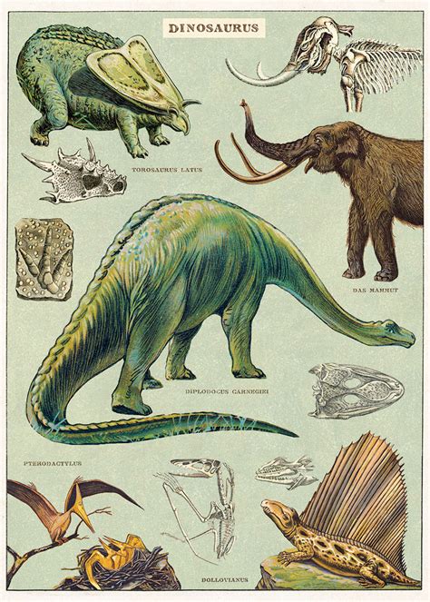 Cavallini Poster Gift Wrap Dinosaurs Evans And Hall