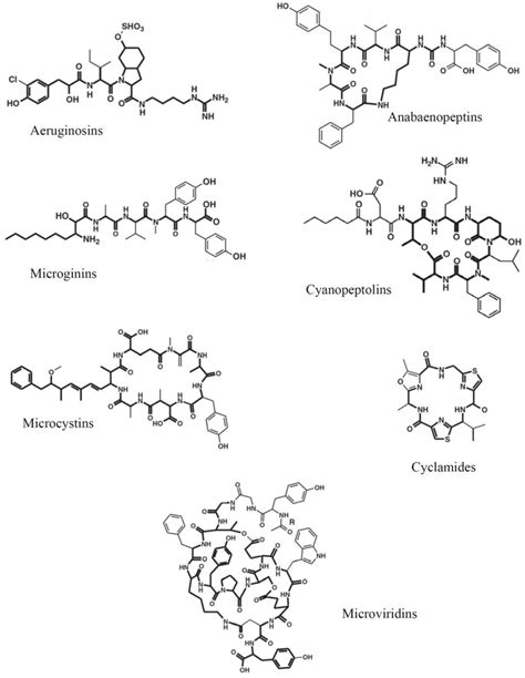 Oligopeptides