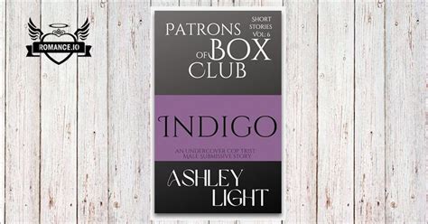 Indigo An Undercover Cop Tryst Short Stories Volume Six By Ashley Light