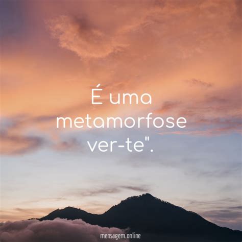 FRASES DE METAMORFOSES DA VIDA Mensagem Online