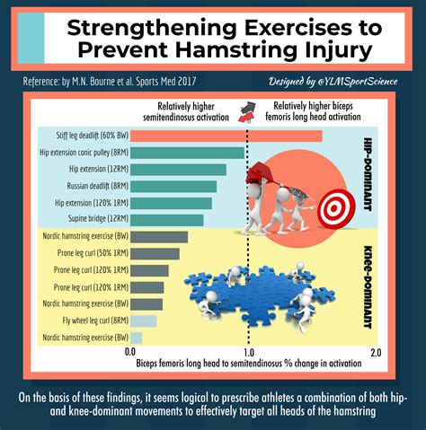 Hamstring Injury Exercises / Proximal Hamstring Tendinopathy Exercise ...