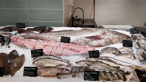 Vente de poissons à Tournon sur Rhône