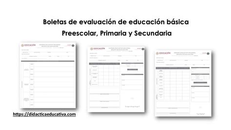 Boletas De Evaluaci N De Educaci N B Sica Del Ciclo Escolar 15930 Hot