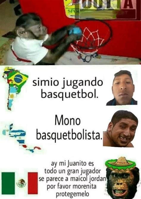 Top Memes De Mono En Español Memedroid