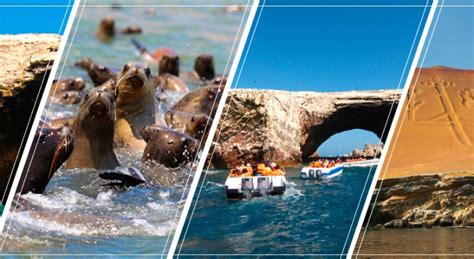 Tours Paracas Agencia De Viajes Y Turismo Tours Full Day