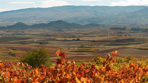 Das Land Der Tausend Weine Rioja La Tierra De Los Mil Vinos