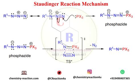 Staudinger Azide Reduction Synthesis Of Amine