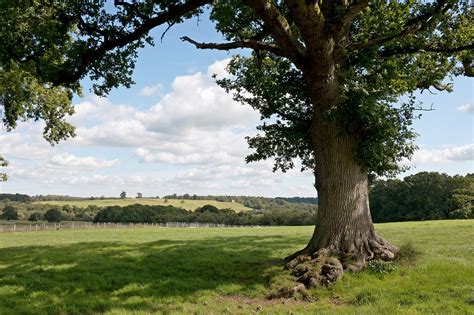 Landscape Countryside Meadow Free Photo On Pixabay Pixabay