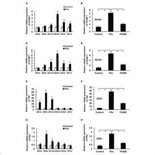 The Rna Levels Of Vcam Icam Pkc And Tnf In The Hippocampus Of