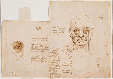 Tutti I Disegni Di Leonardo Da Vinci Alla Biblioteca Reale Di Torino