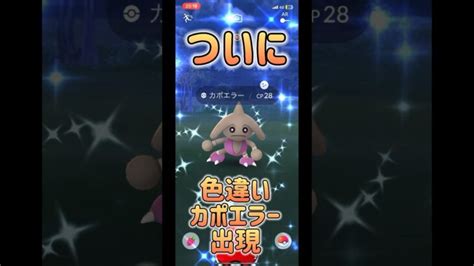 【ポケモンgo】念願の色違いカポエラーゲット！ポケモンgo ポケモン Pokemon Pokemongo Pokémon