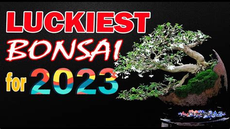 PINAKA MASWERTENG BONSAI SA 2023 LUCKIEST BONSAI FOR 2023 YEAR OF THE