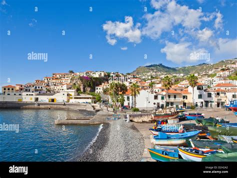 Traditional Decorated Fishing Boats Camara De Lobos Harbour Madeira