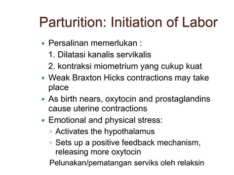 Fertilization Pregnancy And Lactationppt