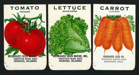 Vegetable seeds packets, Vegetable seed, Vegetables