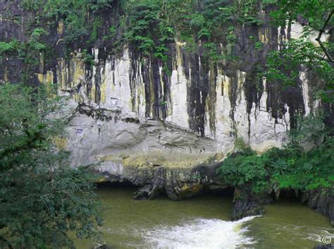 5 Days 4 Nights Dandeli National Park With Yellapur And Mhadei Wildlife