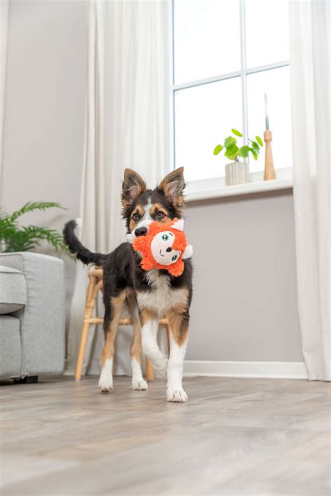 Зоотовари Trixie - купити в Україні, вигідна ціна | Suziria