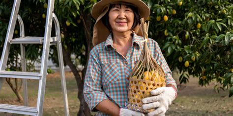 “ขายผลไม้ออนไลน์” ทางออกของชาวสวนไทยยุคใหม่ อดรต้นรัก ธวัชชัย สุขสีดา