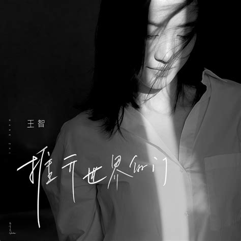 ‎王智在 Apple Music 上的《推開世界的門 Single》