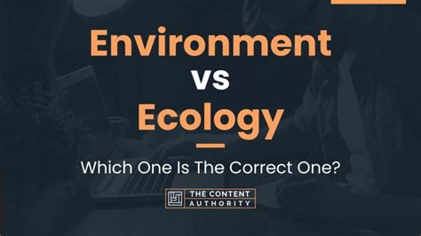 Environment vs Ecology: Which One Is The Correct One?