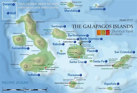 Galapagos Cruises & Tours by Columbus Travel - Since 1996 | Galapagos ...