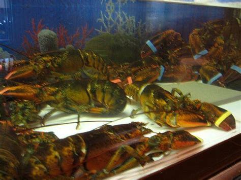 Medford Seafood Market In Medford NJ | Shellfish