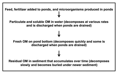 Decomposition and accumulation of organic matter in ponds - Responsible ...