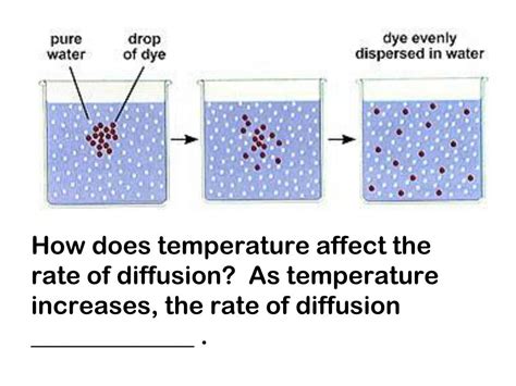 How Does Temp Affect Diffusion